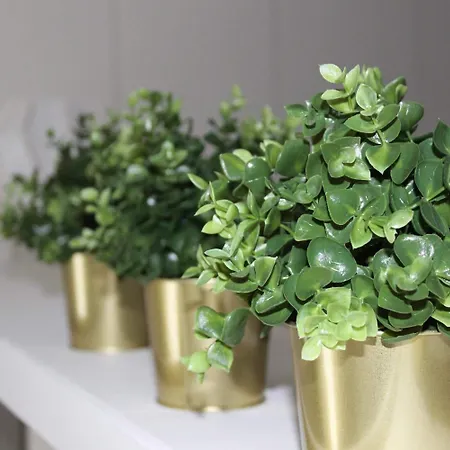 Casa Di Mamma בארי