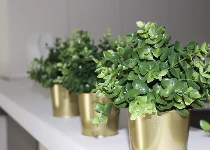 Casa Di Mamma 巴里